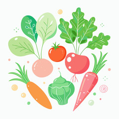 fresh vegetables on a white background