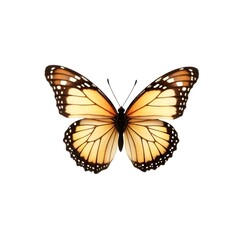 Fototapeta premium Butterfly flying isolated on transparent background high quality stock photo