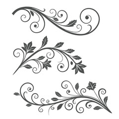 Abstract floral vector design element with ornate swirls and elegant leaf pattern decoration