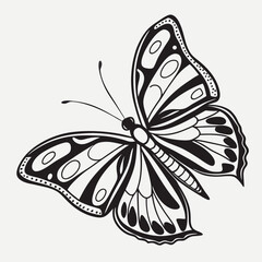 Black Ink Butterfly Drawing Vector