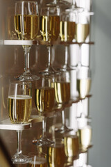Several glasses of champagne arranged on a vertical wall-mounted shelf with reflective surfaces and soft indoor lighting. Concept: celebration, luxury, party, elegance, wedding, festive drink.