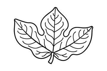 Simple black and white illustration of a papaya leaf against a white background