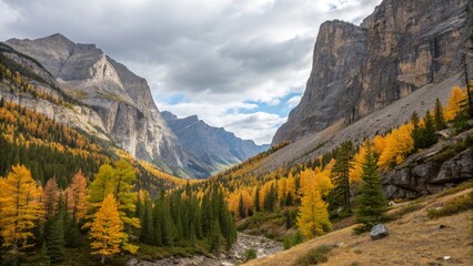Fototapeta premium autumn in yosemite