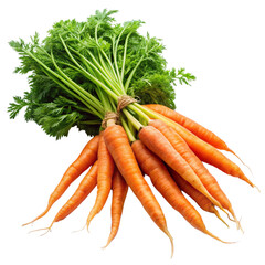 carrots on a white background