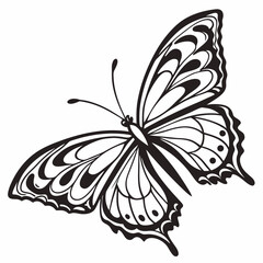 Elegant Black And White Butterfly Icon