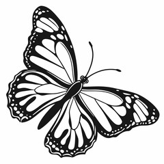 Flat Butterfly Graphic Black And White