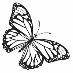 Insect Vector Silhouette Butterfly