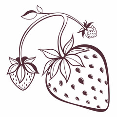 vector illustration of a strawberry