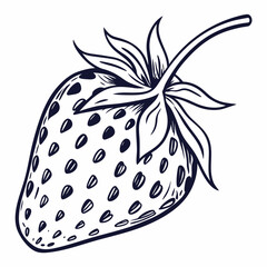 vector illustration of a strawberry