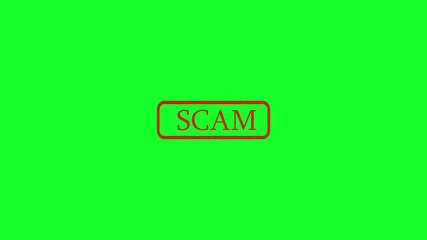 Appearance of a dirty red stamp mark "SCAM" surrounded by a rounded frame from above on a green screen with alpha channel