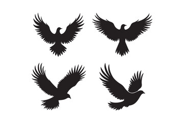 Open wings design set elegant bird wing illustrations