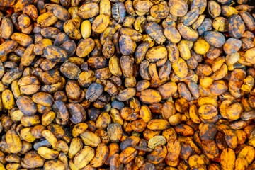 Raw unroasted green fresh coffee bean