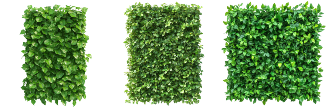 Set of Macro shot of fresh green foliage patch, detailed texture on transparent png background. Ai generated - Powered by Adobe