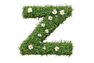 Letter z made of grass isolated on transparent background