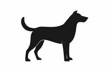 domestic pets walking sitting postures