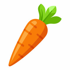carrot vector illustration