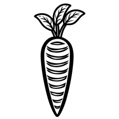 carrots vector illustration