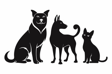 black and white cats