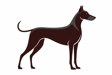 vector illustration of a dog