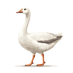 Goose Vector Clipart, Walking Pose, Clean and Friendly Design
