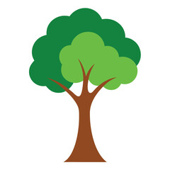 green tree isolated on white