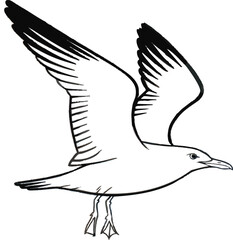 Obraz premium Simple Black and White Line Drawing of a Seagull in Flight