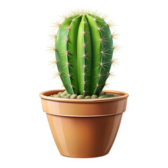 cactus in a pot isolated on white background.PNG Transparent file type with high definition picture quality available.