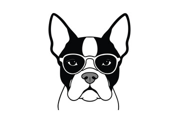 Cool boston terrier dog wearing sunglasses stylish pet portrait