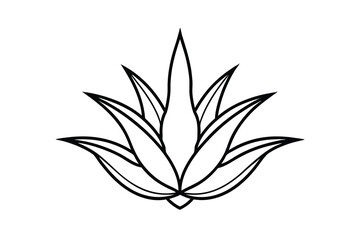 Simple line drawing of an agave plant succulent