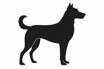 loyal companion dog in alert stance