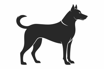 loyal pet dog in standing pose