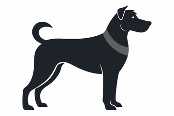 medium sized dog in proud stance