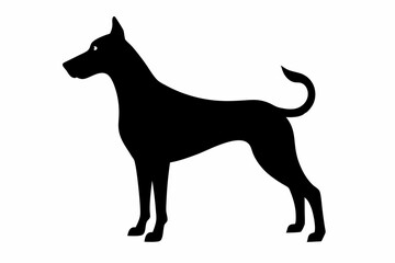 mid size dog with athletic build