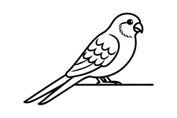 Line art illustration of a budgie perched on a branch