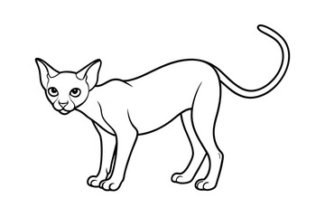 Elegant sphynx cat outline drawing pet animal graphic