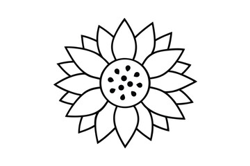 Simple line drawing of a sunflower botanical illustration