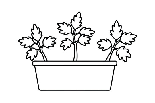 black and white plants in a pot clip art preview