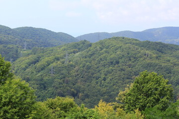 Fototapeta premium forested mountains on the Black Sea coast