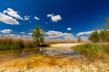 Krajobraz naturalny nad jeziorem, lato z niebieskim niebem z białymi chmurami, Polska © anettastar