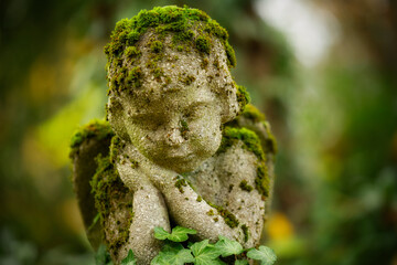 Close-up of a mossy, stone cherub in a pensive pose, surrounded by blurred greenery, reflecting...