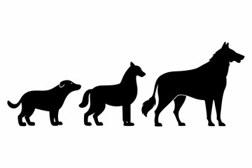 Standing sitting walking animal poses
