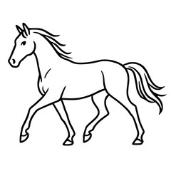 Obraz premium Black and White Vector Outline Illustration of a Running Mustang Horse Silhouette: Artistic Animal Line Art Drawing for Equestrian and Wildlife Hobbies in Nature
