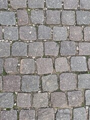 Top-down view of old cobblestone pavement with square granite blocks and moss growing between the stones, showcasing a historic street texture.