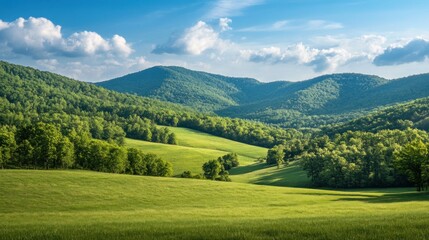 Obraz premium Lush Valley and Mountains