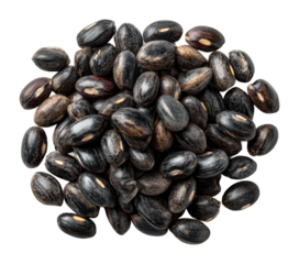 Harvesting black beans nutritional benefits planting techniques organic farming garden environment isolated on transparent background