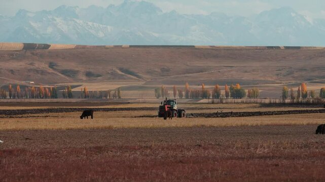 Beautiful landscape with tractor cultivating field in autumn