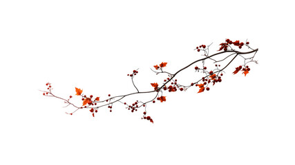 Autumnal Branch with Red Leaves and Berries on Transparent Background