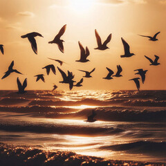 seagulls on the beach