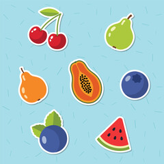 Colorful Vector Fruit Stickers Collection