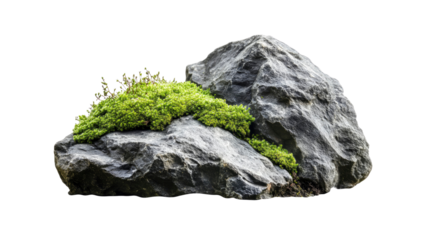 Grey Rock with Green Moss Isolated on Transparent Background